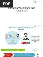 Instrumentos de Gestión Ambiental SEIA - Alex Muñoz