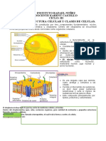 Tema Estructura Celular - Ciclo 3