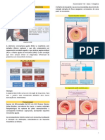 Síndrome Coronariana Aguda