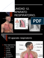 Aparato Respiratorio