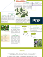 Ejemplo de Planta Medicinal