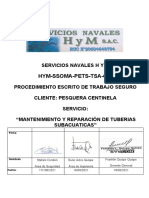 1.0 Pets Mantenimiento de Tuberia Acuatica