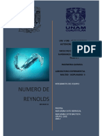 Numero de Reynolds