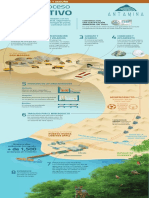 Infografia Proceso Productivo 12-11-20