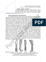 LP 8 Anestezia Loco-Regionala - Trunchi Si Membre