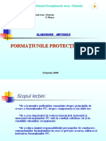 Formatiunile PC