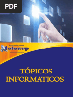 TÓPICOS INFORMATICOS R