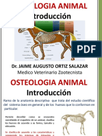 Osteologia Animal