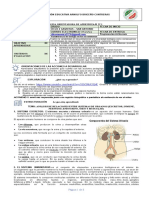 Ciencias Naturales Guia de Aprendizaje Ciclo 4 ABC