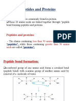 5 - Protein and Their Structures