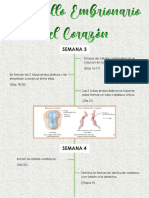 Actividad 1. Línea Del Tiempo