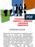 Ciudadania Laboral (23 Paginas)