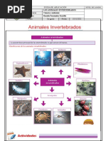 Ficha N°3 - Animales Invertebrados