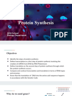 Protein Synthesis: ADA School Biology Department