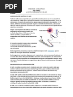 La Información Genética y El ADN