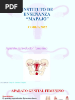 Aparato Reproductor Femenino