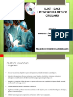 Vdocuments - MX - Sondas Canulas Cateteres y Drenajes Auxiliares Terapeuticos de La Practica Quirurgica