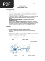 Trabajo Práctico S.N. 3°a