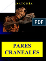 Anatomia II - Pares Craneales