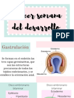 Tercer Semana de Desarrollo