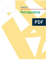 Capítulo 7 Petroquímica