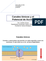 Canales Iónicos y Potencial de Acción