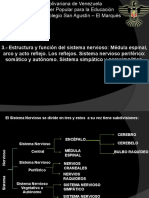 Estructura y Funcion Del Sistema Nervioso Medula Espinal, Arco y Acto Reflejo. Los Reflejos. Sistema Nervioso Periferico