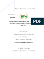 Informe de Monografia 