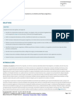 CAPÍTULO 31 - La Sangre Como Fluido Circulatorio y La Dinámica Del Flujo Sanguíneo y Linfático