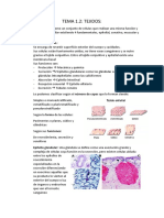 Tema 1.2 Tejidos