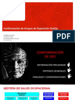 07.04.2020 - Conformacion de Grupos de Exposicion Similar