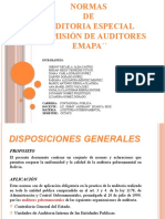 Normas de Auditoria Especial