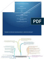 Regiones de Mercados Multinacionales Y Grupos de Mercado