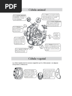 Fichas de Apoyo Semana 03