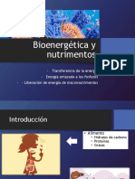 Bioenergetica y Nutrimentos