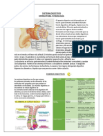 SISTEMA DIGESTIVO y Fisiologia