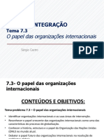 Tema-Problema 7.3 - O Papel Das Organizações Internacionais