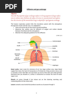 Diffusion and Gas Exchange