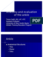 Ankle