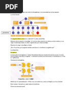 Hematología ....