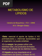 Metabolismo de Lipidos