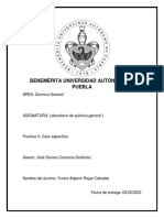 Experimento 5 de Química (Calor Especifico)