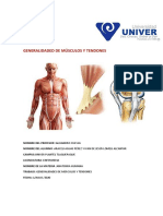 Generalidades de Músculos y Tendones