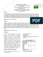 Informe Práctica 5. Ensayo A La Llama