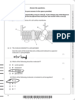 Unit 1 Bio Mock