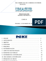 Unasur 140408194927 Phpapp01