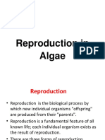 Reproduction in Algae