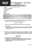 Consolidado 2 Fundamentos Del Calculo