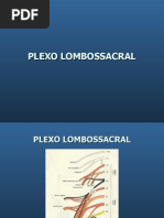 Plexo Lombossacral