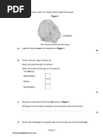 Cell Division 1 QP